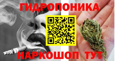 крисы Ярцево