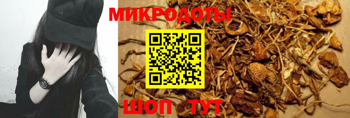 купить  сайты  Галлюциногенные грибы GOLDEN TEACHER  Вход с VPN  Баксан 